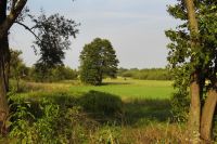 Uroczy zakątek - Żuków