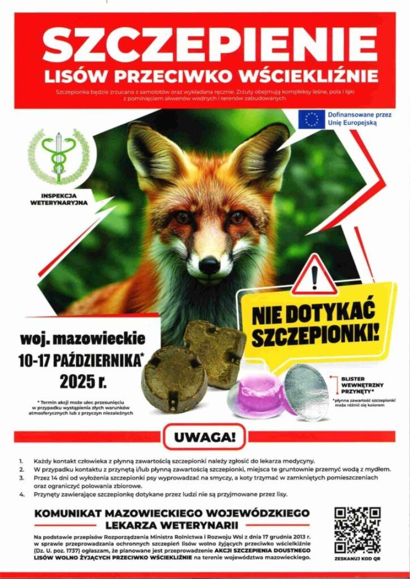 Szczepienie lisów przeciwko wściekliźnie - 10-17 października 2025
