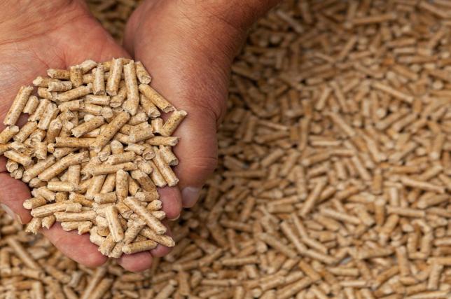 pellet