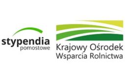 Uwaga, maturzysto! Zdobądź stypendium pomostowe na studia