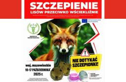 Szczepienie lisów przeciwko wściekliźnie - województwo mazowieckie - 10-17 października 2025 r.
