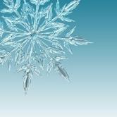 Znaczny spadek temperatur - jeden telefon może uratować życie.  Nie bądź obojętny!