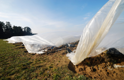 Ankieta dotycząca odpadów rolniczych